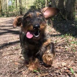 Meet your Posher, Charlotte